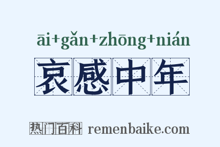 哀感中年是什么意思的图片